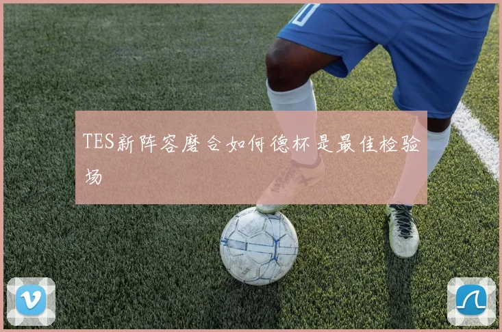 TES新阵容磨合如何德杯是最佳检验场