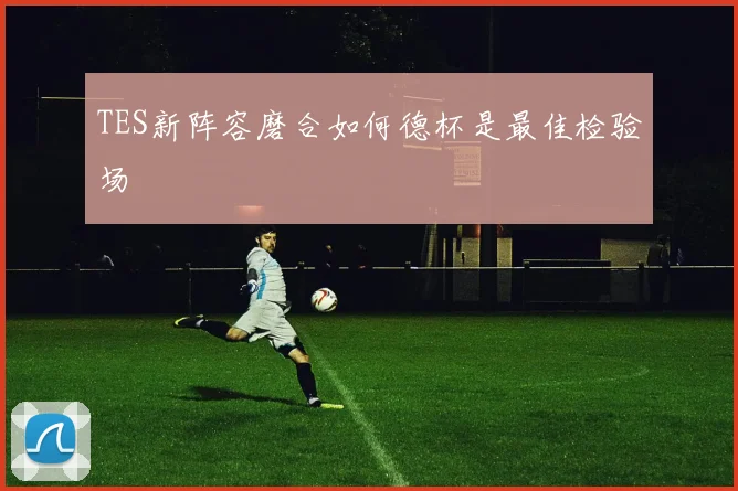 TES新阵容磨合如何德杯是最佳检验场